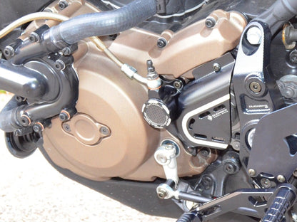 DBK Special Parts (Ducabike) Hydraulic Clutch Conversion Kit for the 2015-2017 Ducati Monster 821 (2015-2016 in Europe)