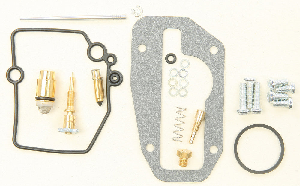 Bike Carburetor Rebuild Kit