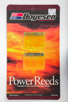 Motorcycle Reeds