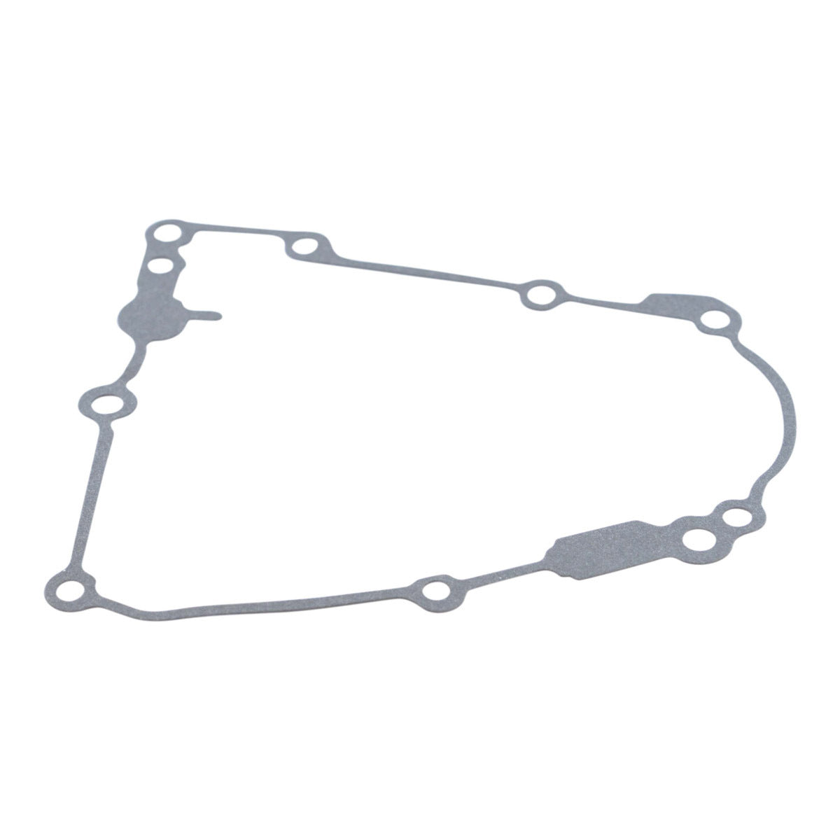 Stator Crankcase Cover Gasket