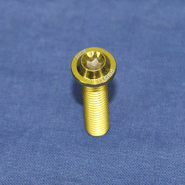 Proti M6 Universal Bolt M6L25-OTB04