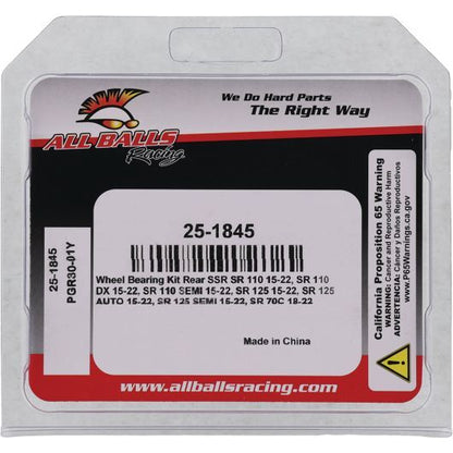 Wheel Bearing Kit Rear