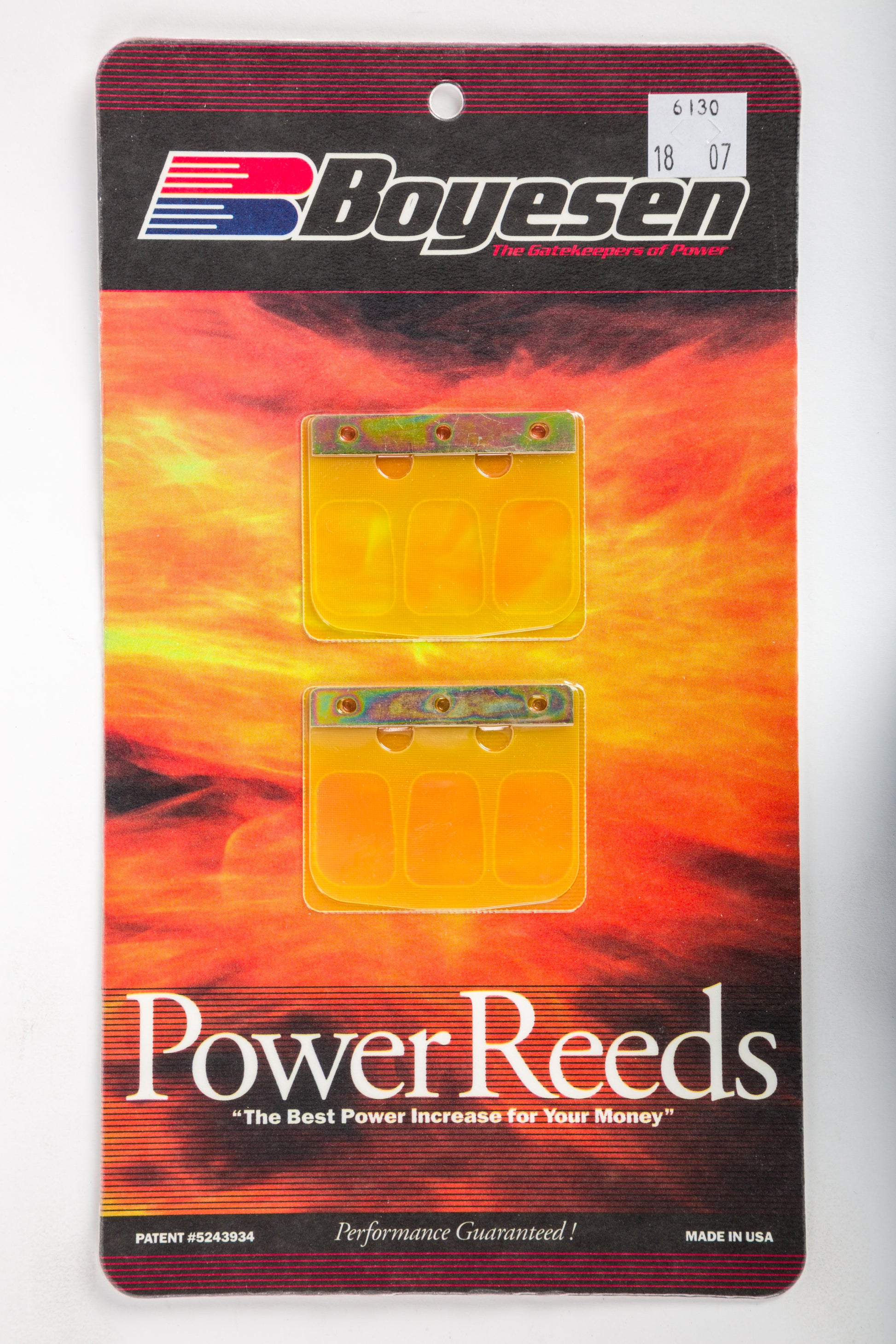 Motorcycle Reeds