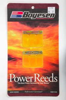 Motorcycle Reeds