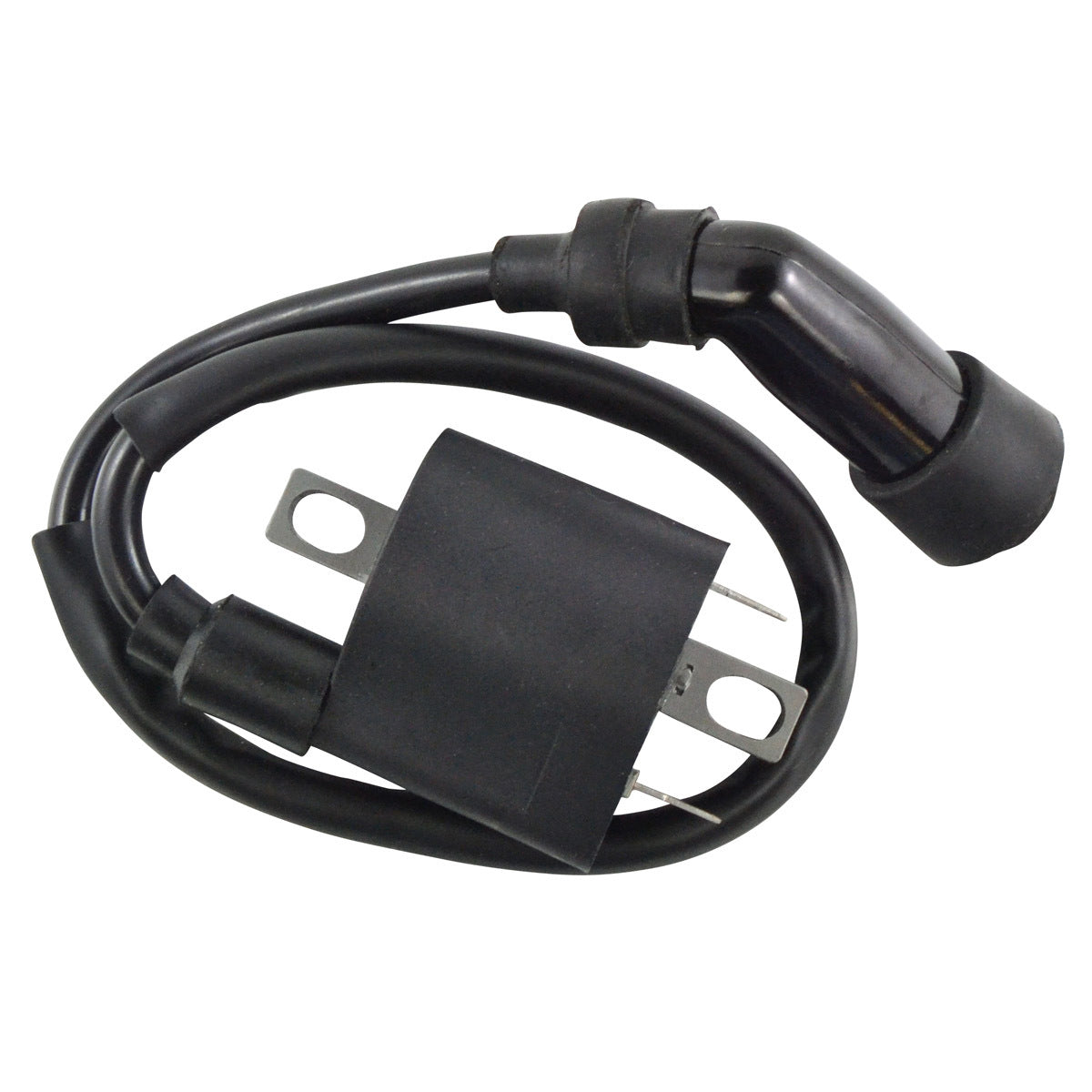 External Ignition Coil W/Spark Plug Cap