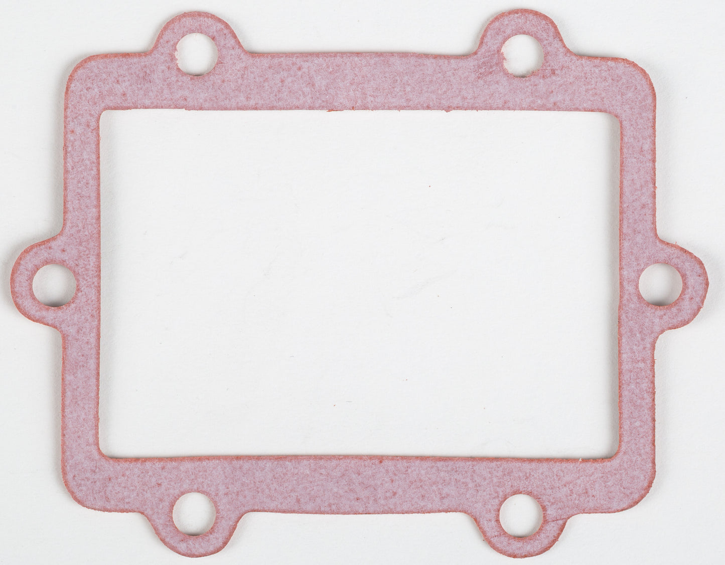 Motorcycle Rad Gasket