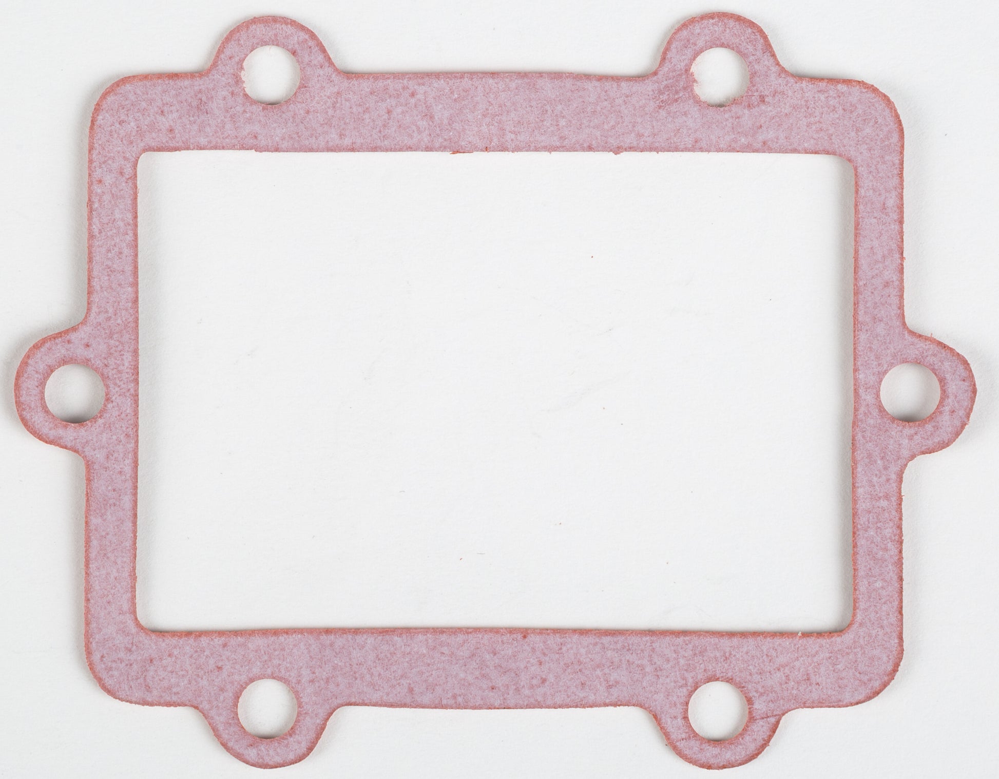 Motorcycle Rad Gasket