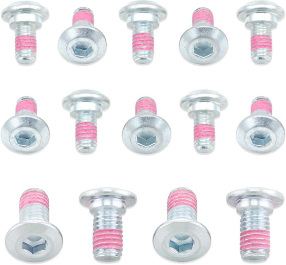 Rotor Bolts Suz/Kaw