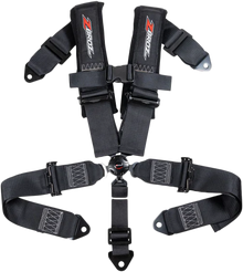 3" 5 Point Cam Lock Harness