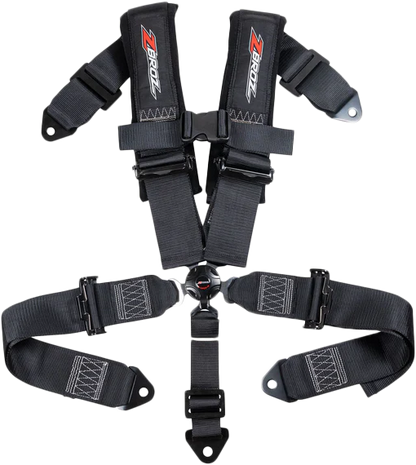 3" 5 Point Cam Lock Harness