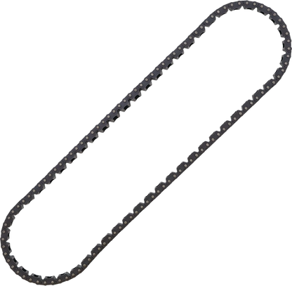 Cam Chain