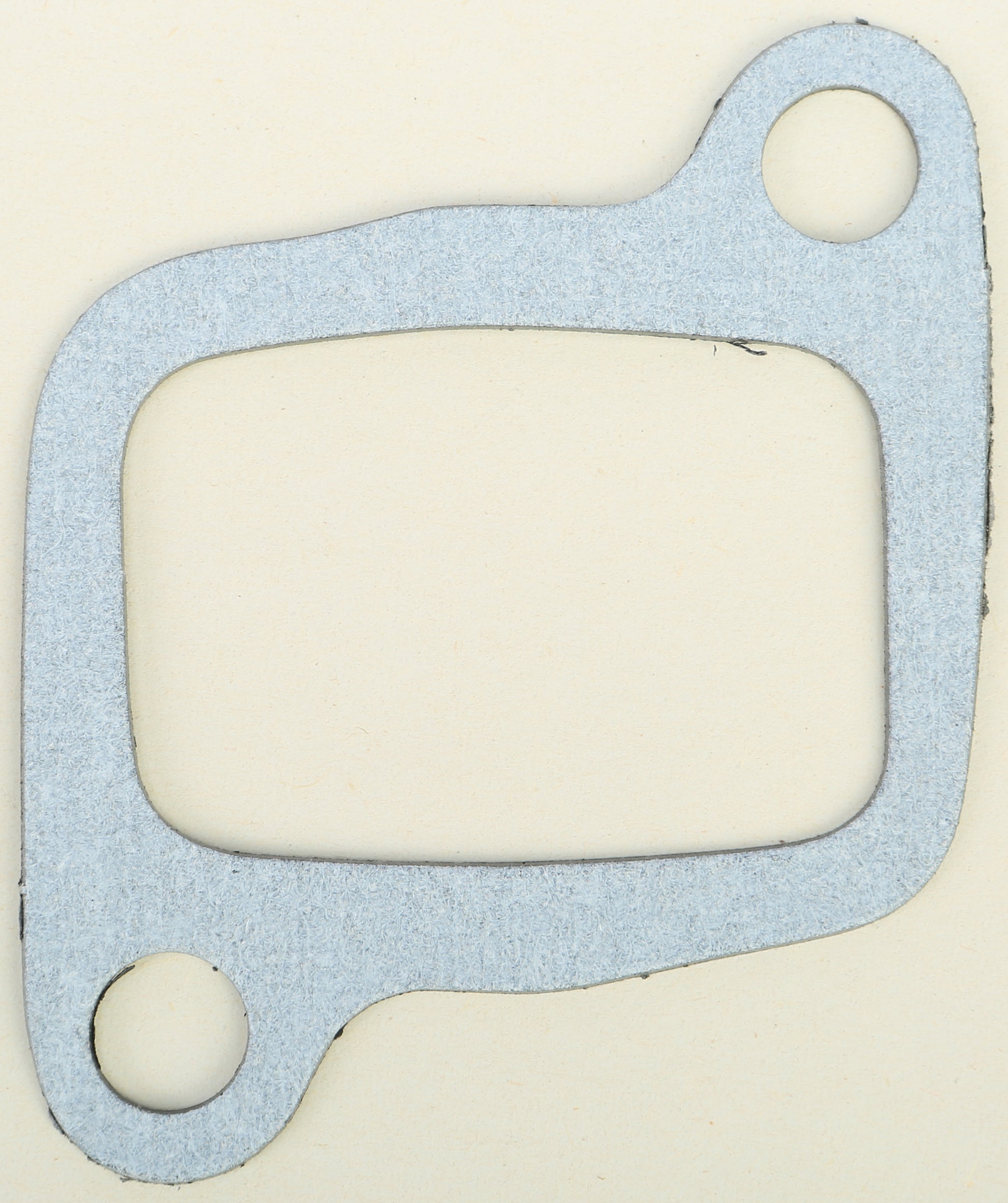 Intake Gasket