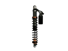 Ski Shock Sd / Lynx