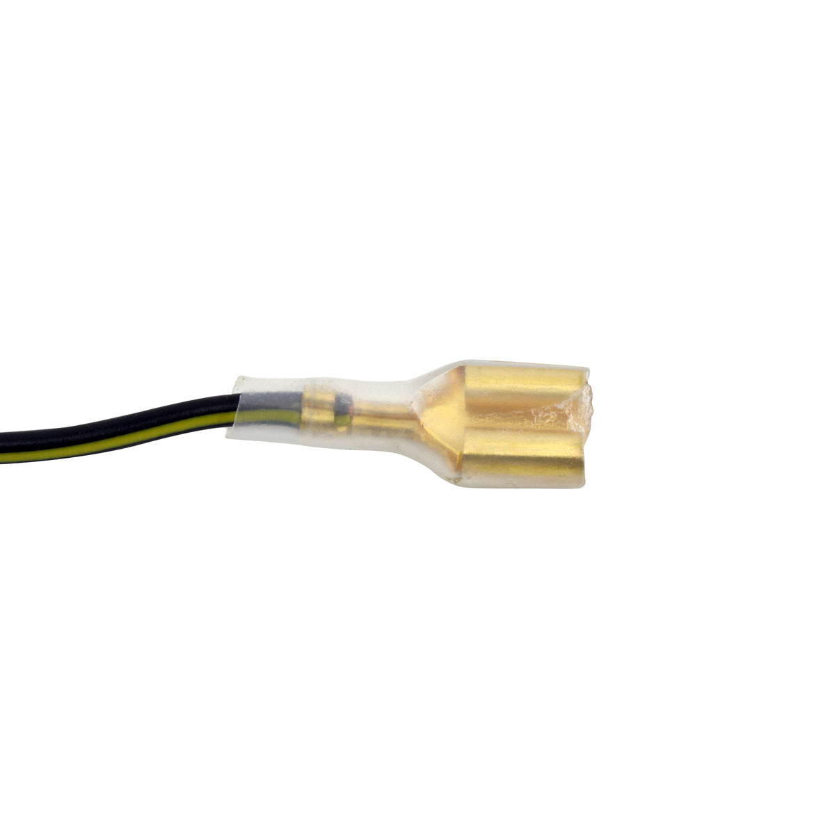 Stator Source Coil