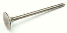 Exhaust Valve