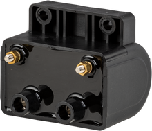 Hd 30v Hp Dual Fire Coil Frt Posts Pnts/Elct Ign 65 79