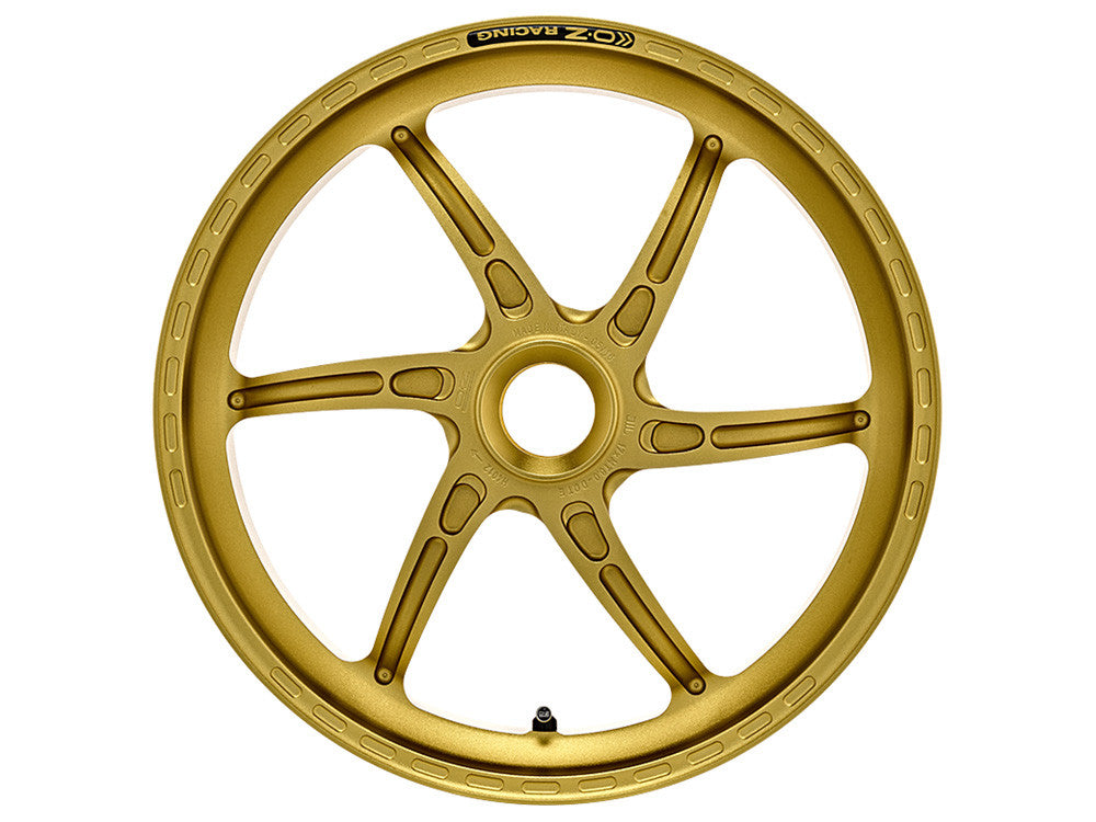 OZ Racing GASS RS-A FORGED ALUMINUM REAR WHEEL:  SMALL HUB DUCATI (6.0)