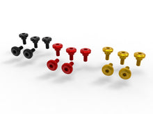 DBK Special Parts (Ducabike) Side Cover Bolt Kit for the Ducati Monster 937