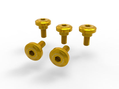 DBK Special Parts (Ducabike) Side Cover Bolt Kit for the Ducati Monster 937