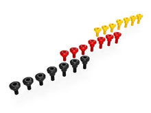 DBK Special Parts (Ducabike) Frame/Fairing Screw Kit for the Ducati DesertX