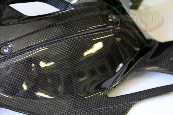 CARBONVANI - MV AGUSTA F4 CARBON FIBER SWINGARM GUARD (2010+)