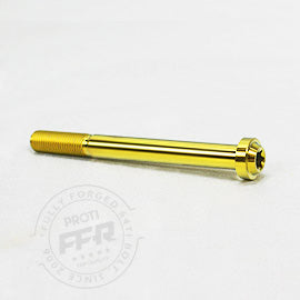 Proti M10 Universal Bolt n_M10L100-OTB02 x 1