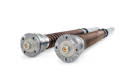 Ohlins Hypersport NIX 30 Cartridge Kit for BMW S1000RR (2020+) and M1000RR (2021+)