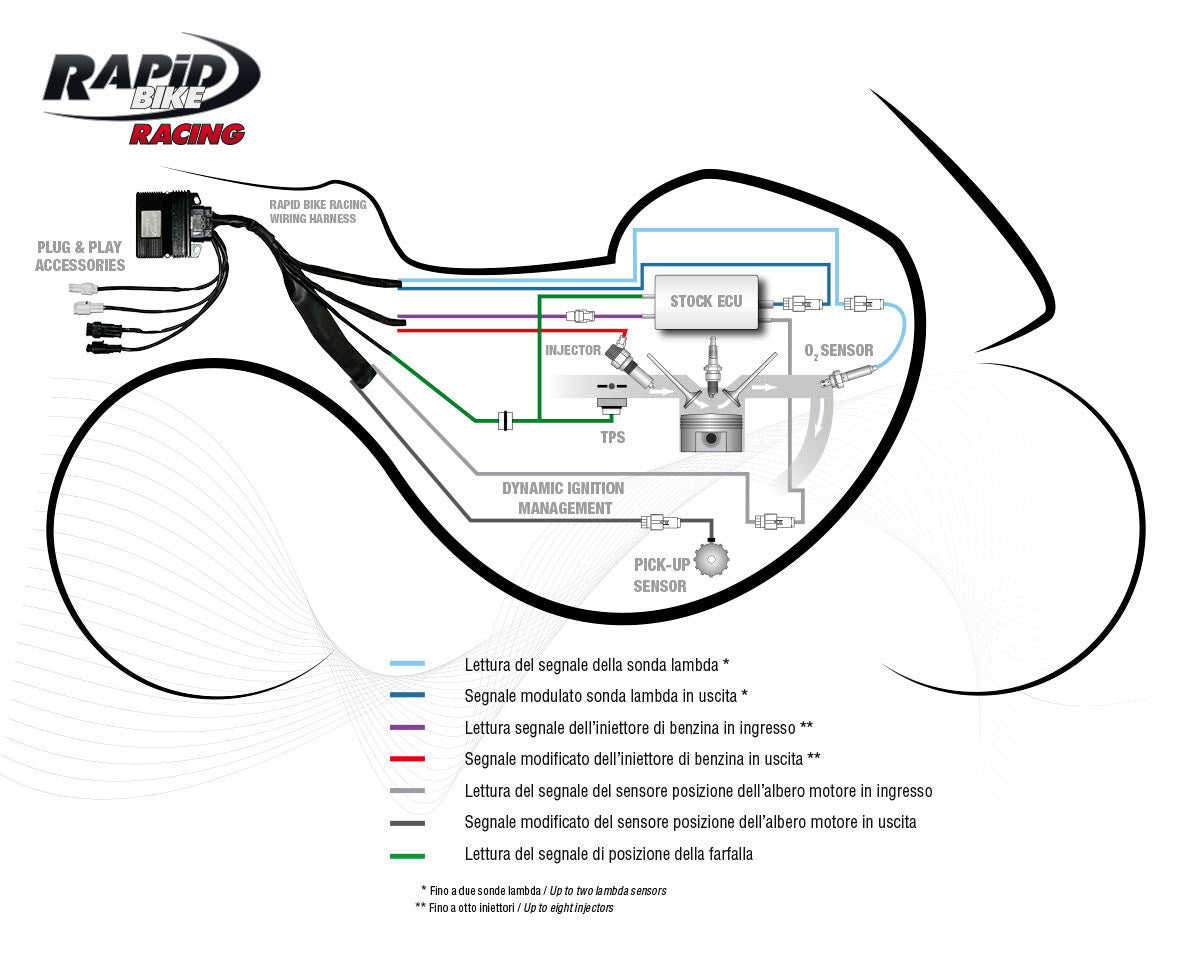 RapidBike RACING Self Adaptive Fueling Control Module for the Triumph Daytona 765 (2019+)