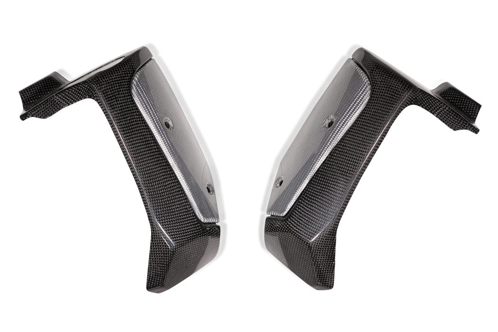 QD Carbon Fiber Radiator Guards (with Alutech Carbon) for the Indian FTR 1200 (Flat Track Racer)