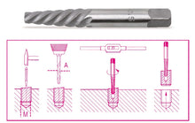 Beta Tools Model 1430  6-Tapered Extractors for Screws